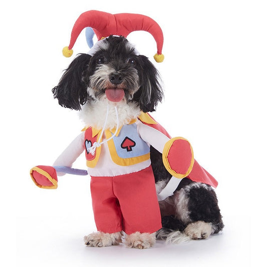 Halloween Clown Costume – Funny & Colorful Outfit